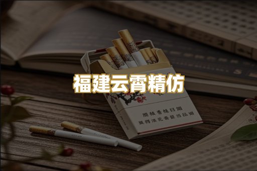 福建云霄精仿